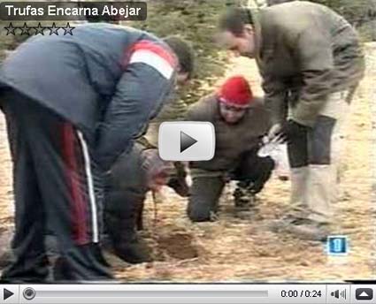 Encarna concursa en Abejar: Tuber melanosporum